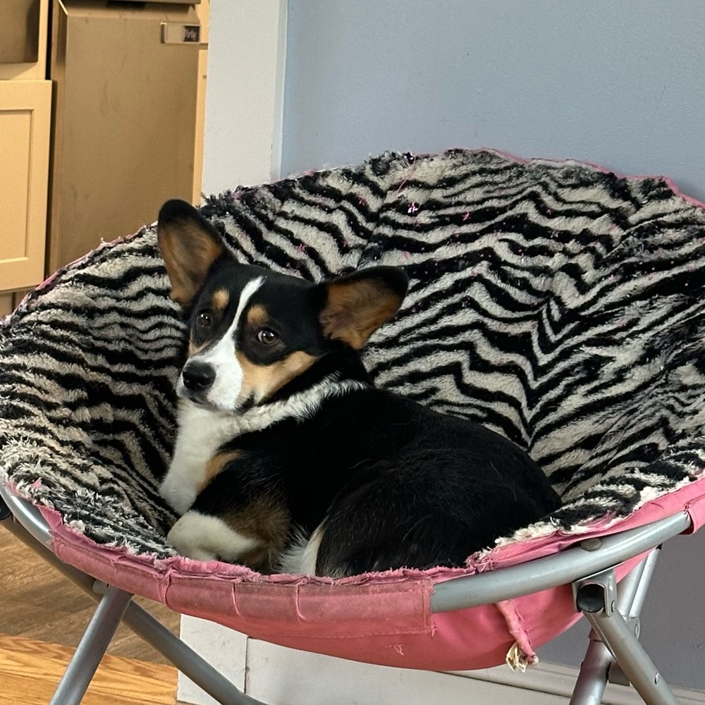 Meet your Posher, Jessica